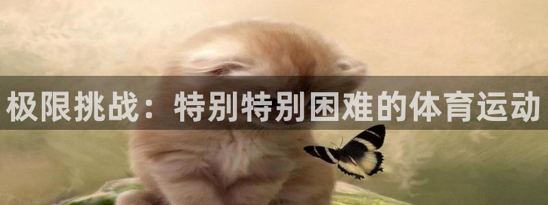z66体育app怎么样