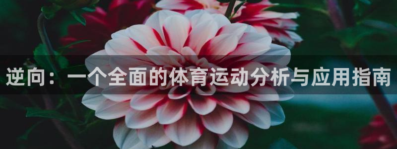 v66体育彩票：逆向：一个全面的体育运动分析与应用指南