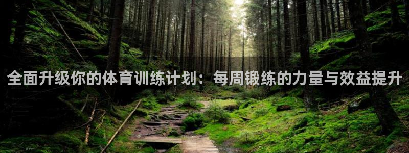 z66体育APP现在