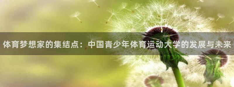 v66体育平台骗了多少人