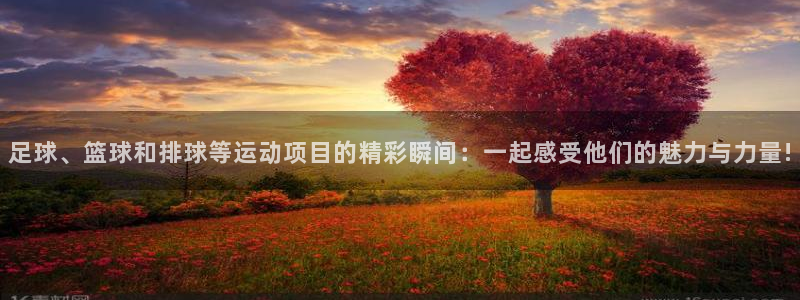 66体育平台