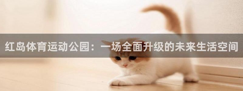Z66体育APP最新版