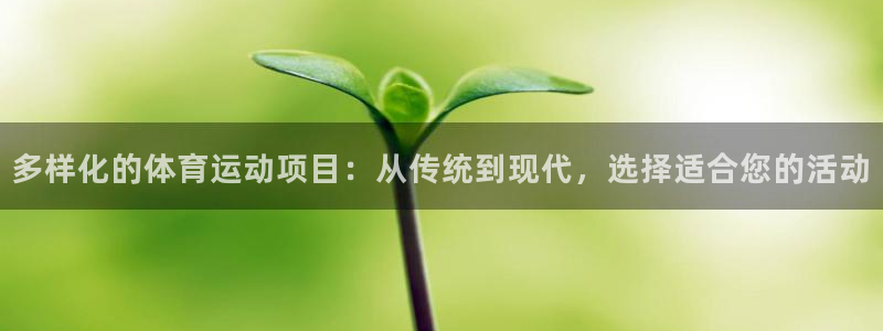 z66体育全站APP下载