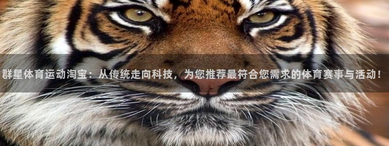 66体育app官方下载