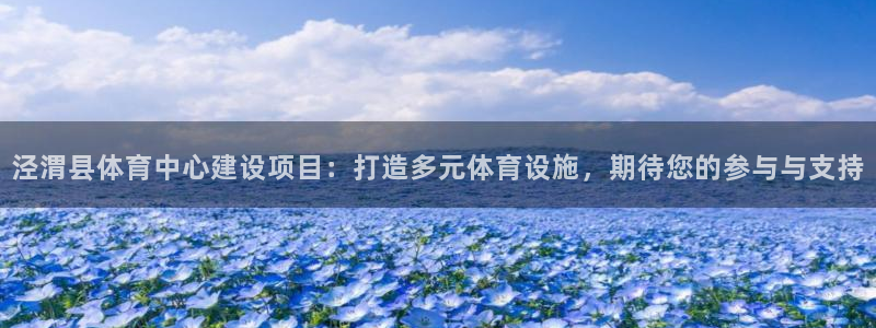 z66体育彩票：泾渭县体育中心建设项目：打造多元体育设施，期待您的参与与支持