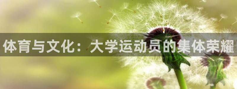 66体育app官方下载：体育与文化：大学运动员的集体荣耀